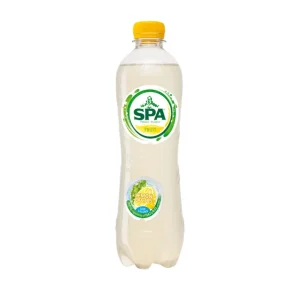 Spa lemon cactus 100% natuurlijk pet (6x 50cl)