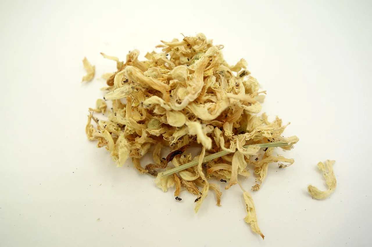 Taubnesselblüten weiss ganz Bio (getrocknet) , kbA